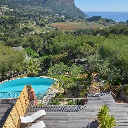 Andrea Guest house