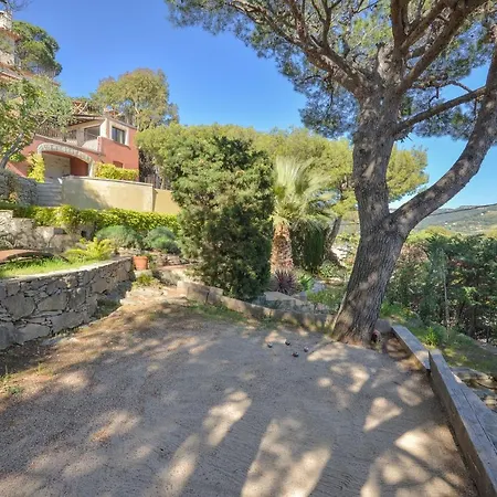Andrea Guest house